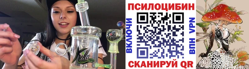 Псилоцибиновые грибы ЛСД  Бабаево 